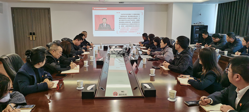 集團(tuán)黨委委員、副總經(jīng)理賀維維同志講授專題黨課