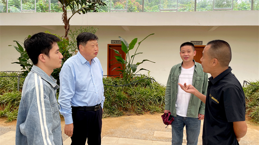 綿投集團(tuán)黨委書記、董事長李桂炳調(diào)研鄉(xiāng)村振興駐村幫扶工作